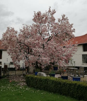 Camping De Kloostermuur