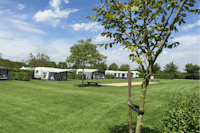 Camping De Maashoeve  -  Wohnmobilstellplatz vom Campingplatz auf grüner Wiese