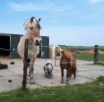 Camping De Witte Baai