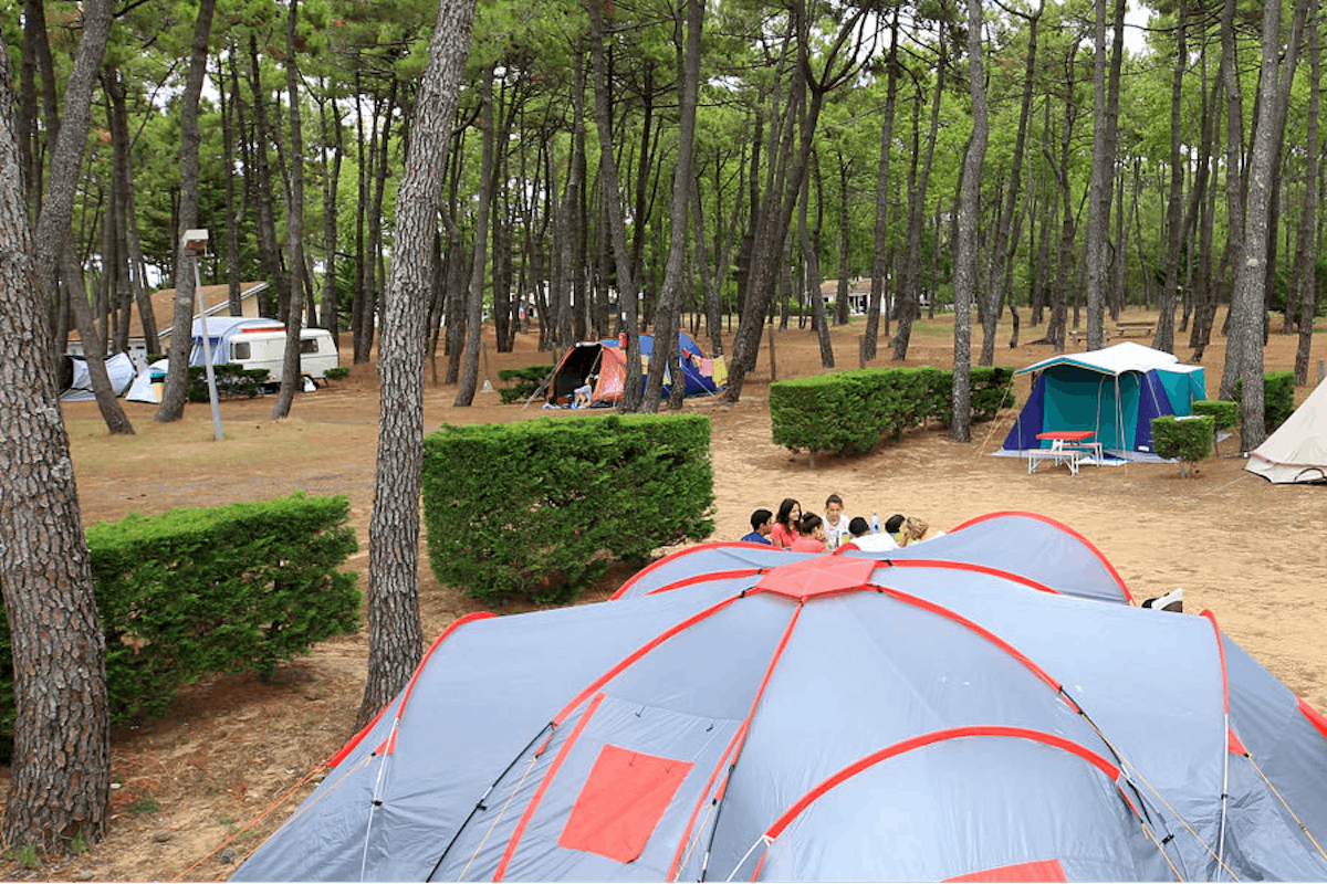 Camping La Grière PiNCAMP by ADAC