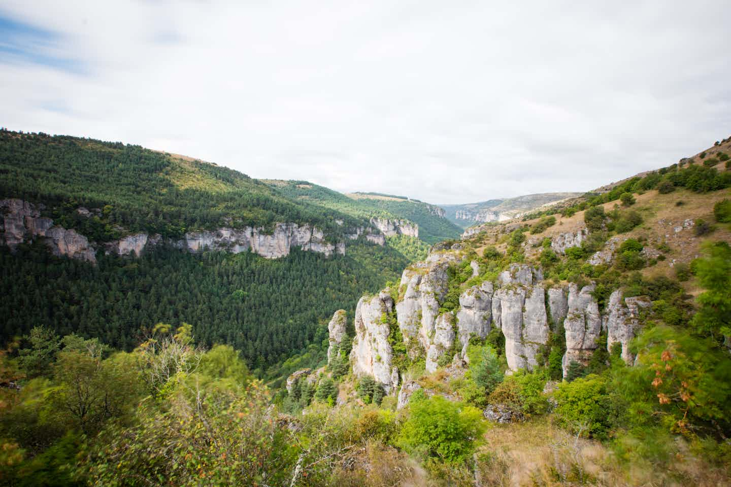 Camping Le Jardin des Cevennes