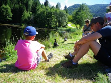 Camping Les Deux Ballons