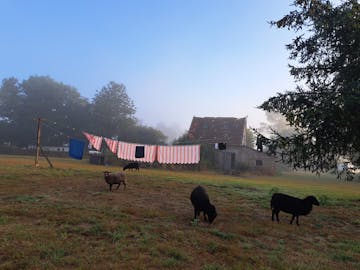 Fred's Place Camping Le Grand Chemin