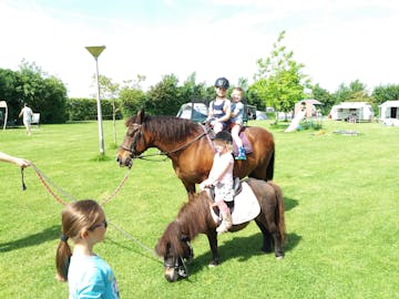 Minicamping Het Twiskerveld