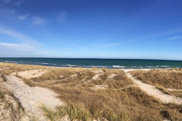 Møn Strandcamping - Ulvshale