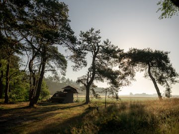 Natuurkampeerterrein Landgoed Quadenoord