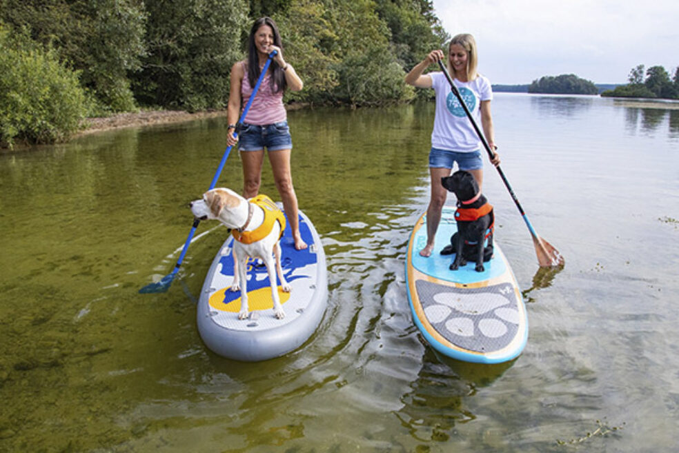 Die 8 besten Campingplätze in Deutschland mit Hund PiNCAMP Magazin