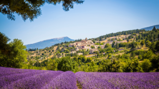 südfrankreich: wein und lavendel in der provence roadtrip camping