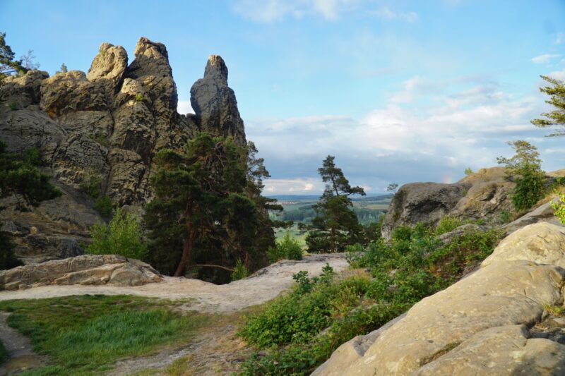 Tolle Natur im Harz Nationalpark