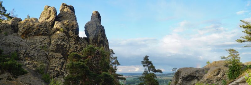 Tolle Natur im Harz Nationalpark