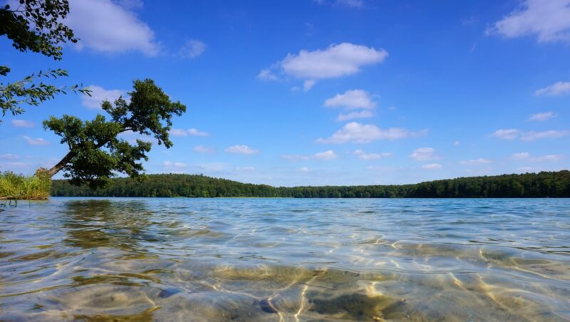 Sauberes klares Wasser und herrliche Landschaft am Stechlinsee