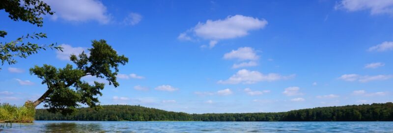 Sauberes klares Wasser und herrliche Landschaft am Stechlinsee