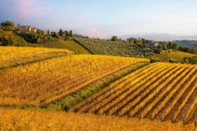 Chianti-Weinroute durch die Toskana: Traumtour im Land des Weines